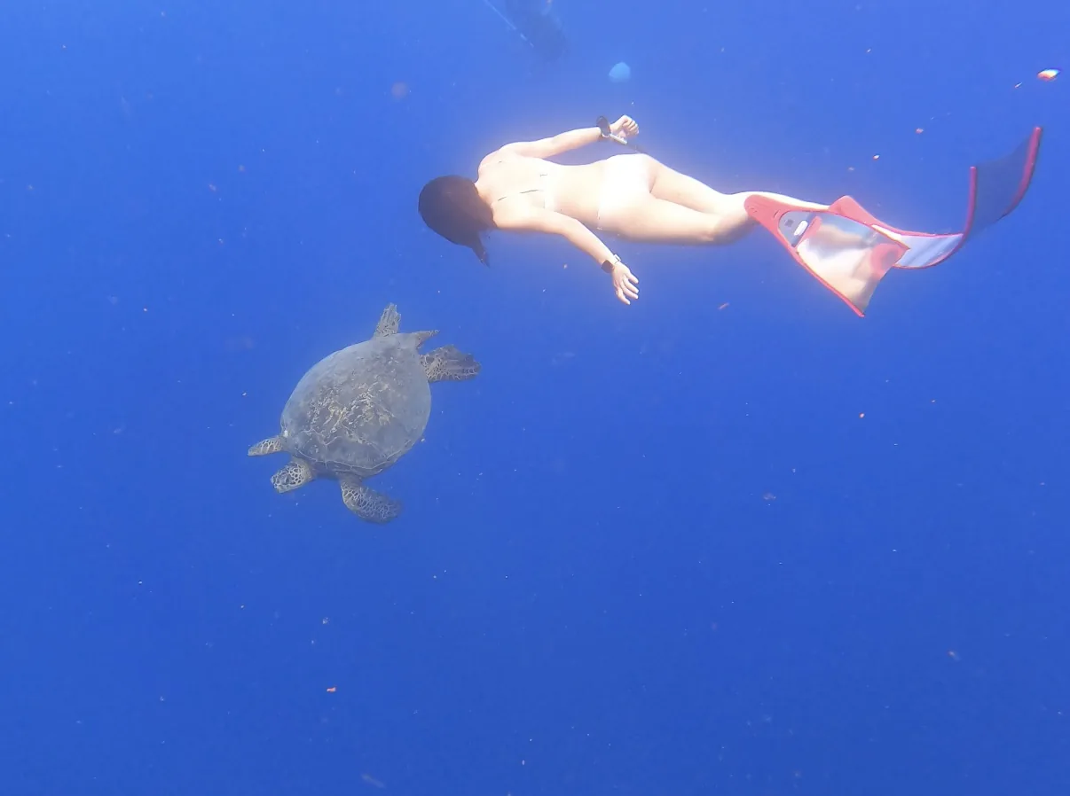 Freediver near a sea turtle in blue water